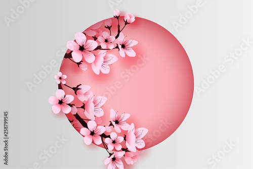 Valokuva illustration of paper art and craft circle decorated spring season cherry blossom concept,Springtime with sakura branch, Design Floral Cherry blossom with pink flowers on text space background,vector