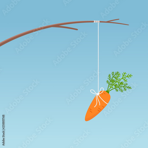 Carrot hanging on fishing stick