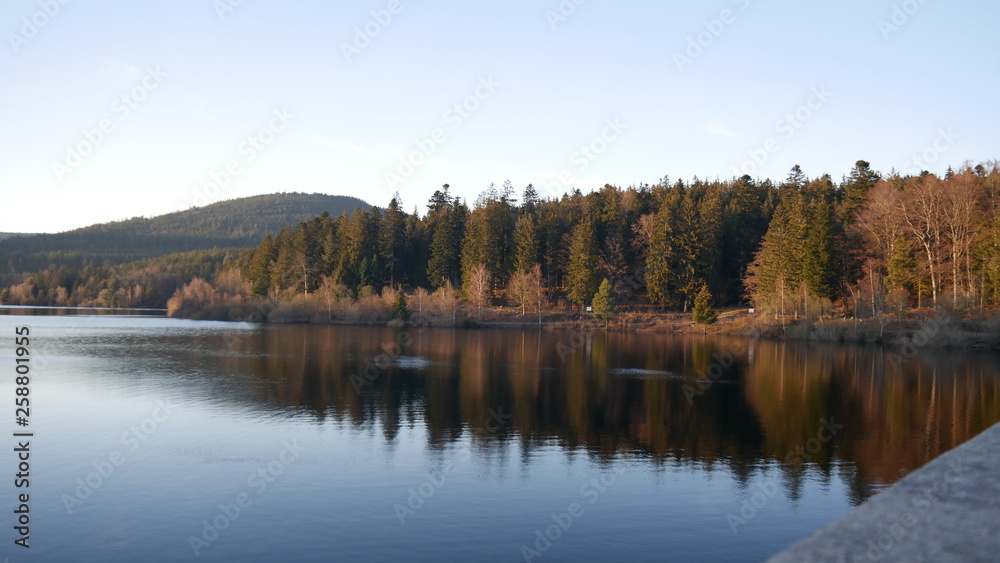 lake in the forest