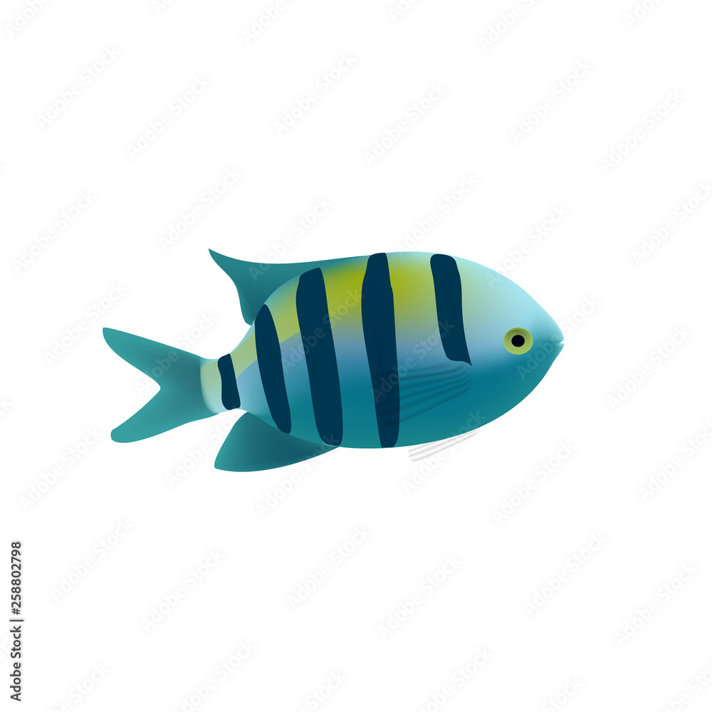 Naklejka premium Striped tropical fish isolated. Realistic fish coral reef, exotic underwater animal. Summer sea diving, travel and recreation design, design of the marine and aquarium world.