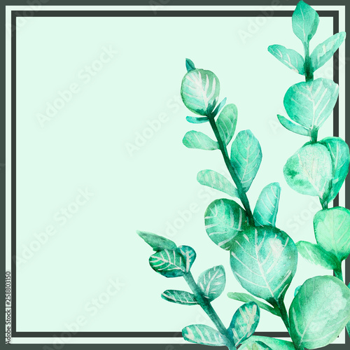 Watercolor hand painted squared frame with black border strips, green eucaliptus branches with leaves and light green backgroud with the space for text