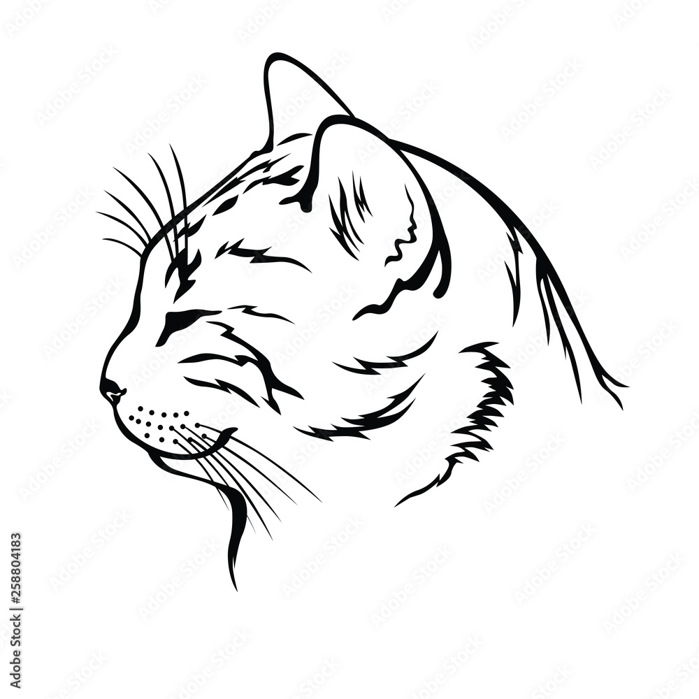 Sleeping cat contour head