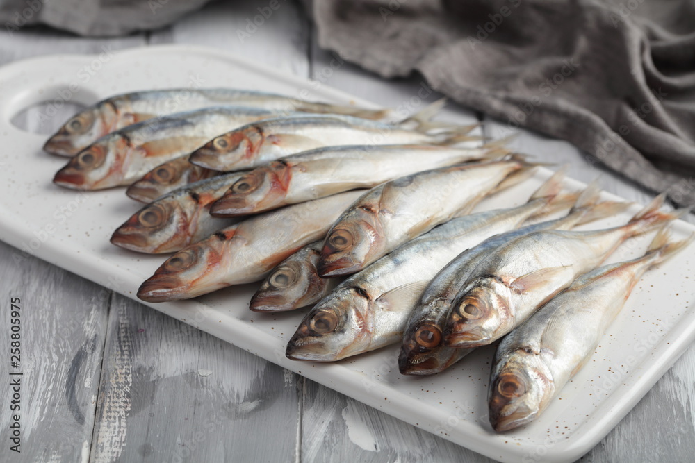 Chicharros, raw horse mackerel closeup Chicharros, raw horse mackerel closeup