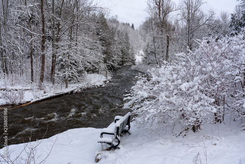 Bench by river in winter