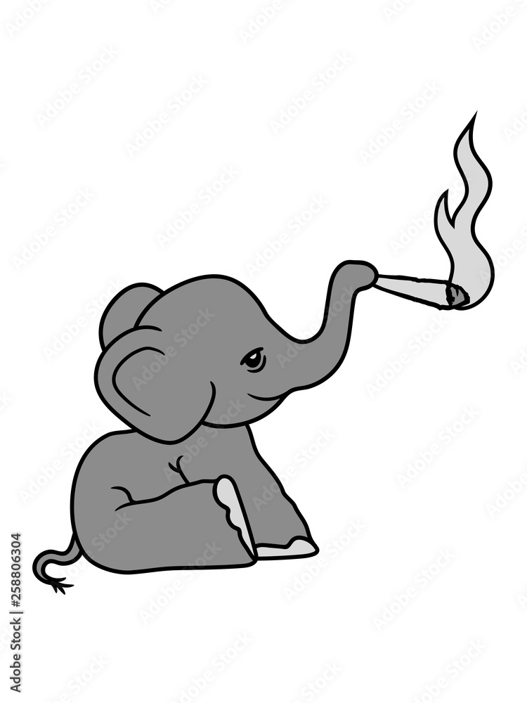 Obraz premium elefant bekifft kiffen joint stoned weed cannabis drogen rauchen high sitzend süß kalb klein kind baby clipart comic cartoon niedlich dickhäuter savanne rüsseltier jumbo grauer riese