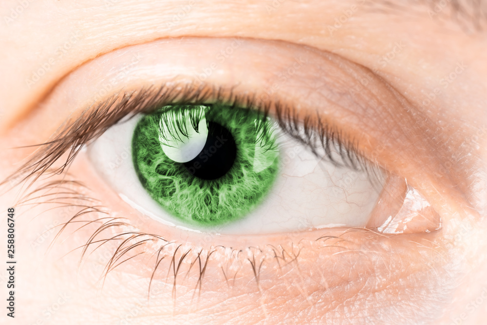 Fototapeta premium Eyes close-up