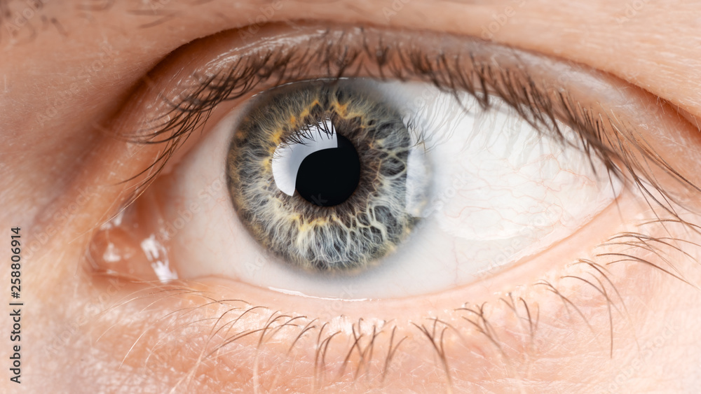 Naklejka premium Eyes close-up