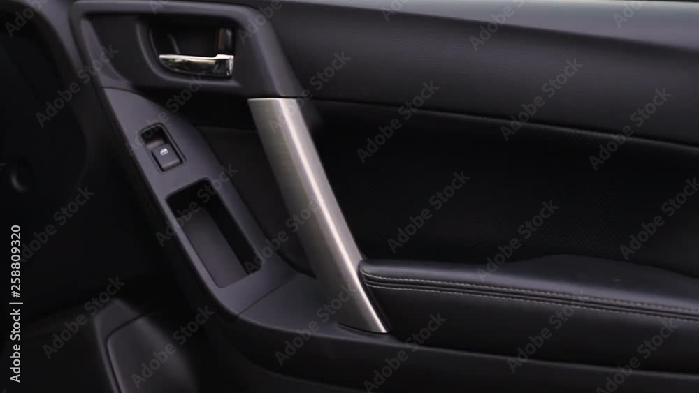 Open Car door interior Open Car door interior
