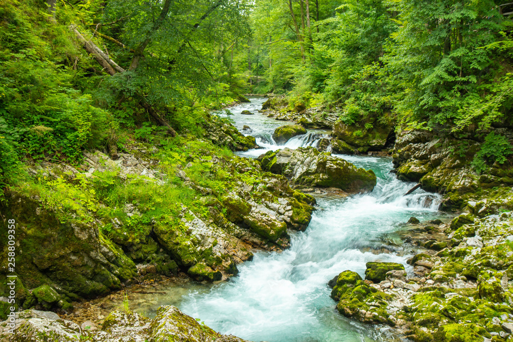 The Vintgar Gorge or Bled Gorge is a walk along gorge in northwestern Slovenia.