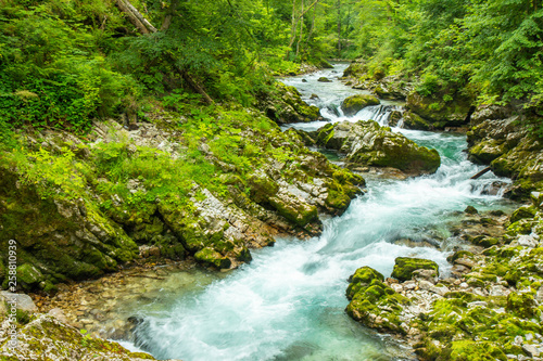 The Vintgar Gorge or Bled Gorge is a walk along gorge in northwestern Slovenia.