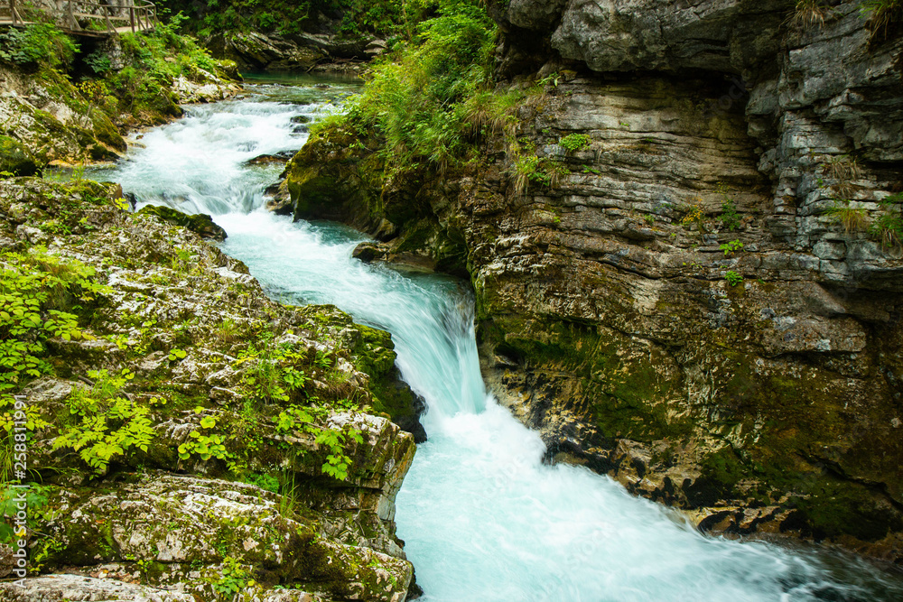 The Vintgar Gorge or Bled Gorge is a walk along gorge in northwestern Slovenia. The Vintgar Gorge or Bled Gorge is a walk along gorge in northwestern Slovenia.
