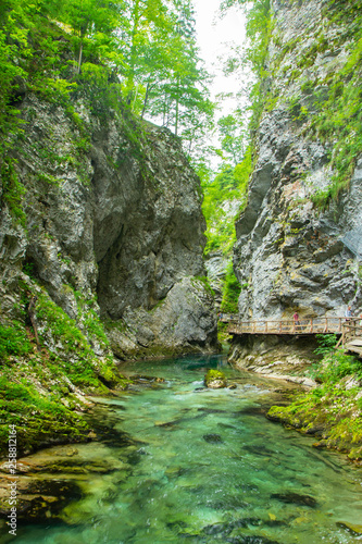 The Vintgar Gorge or Bled Gorge is a walk along gorge in northwestern Slovenia.