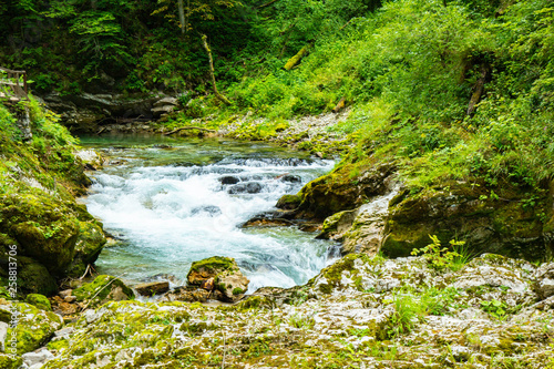 The Vintgar Gorge or Bled Gorge is a walk along gorge in northwestern Slovenia.