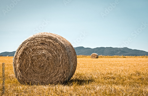 Rural landscape with bales of hay