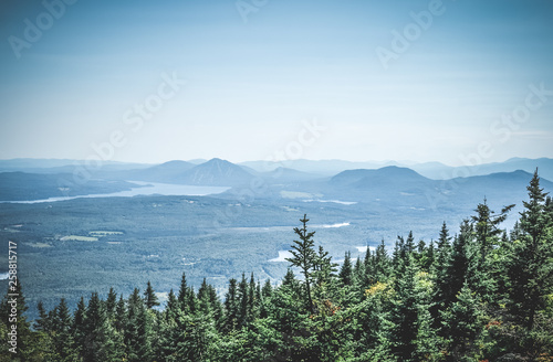Boreal forest and misty mountains photo