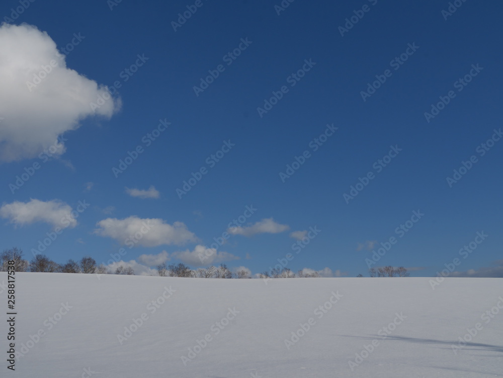 Snow field and blue sky
