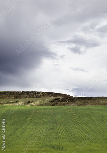 Field terrains land