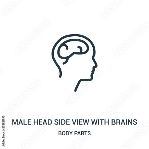 male head side view with brains icon vector from body parts collection. Thin line male head side view with brains outline icon vector illustration.