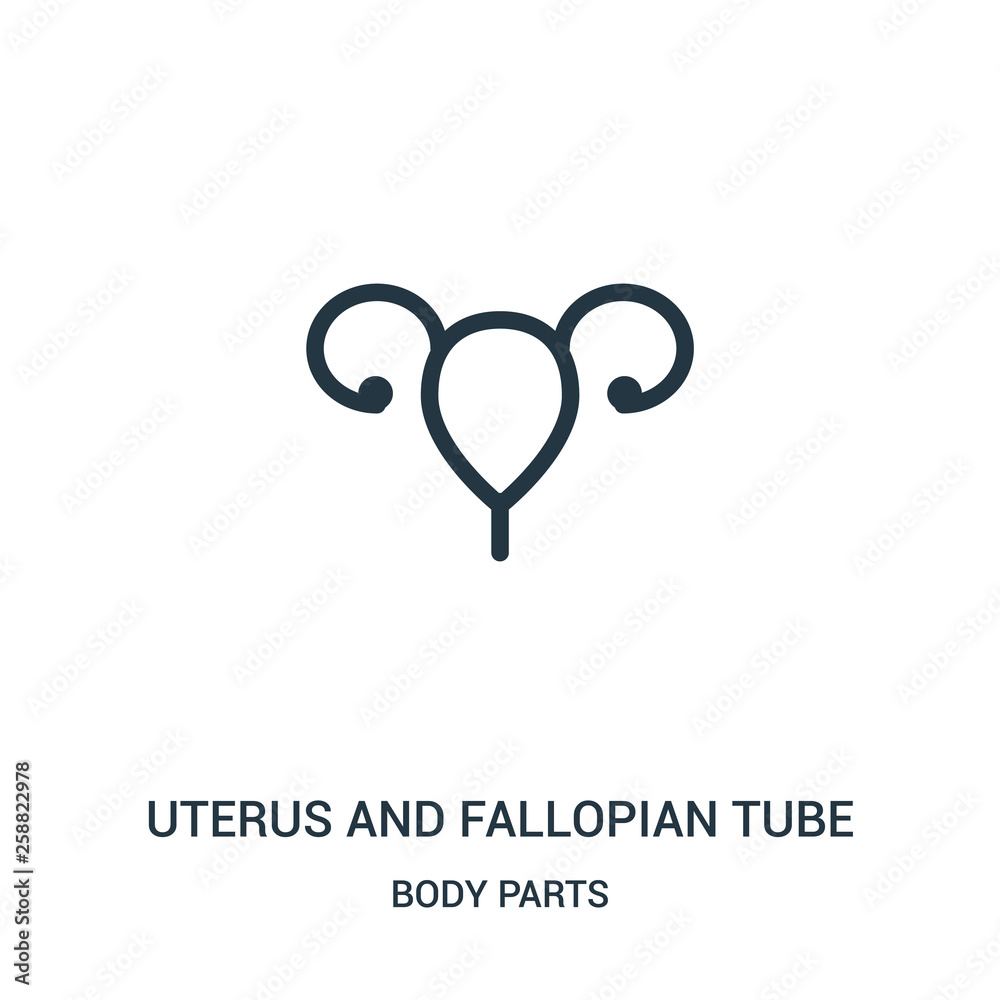 uterus and fallopian tube icon vector from body parts collection. Thin line uterus and fallopian