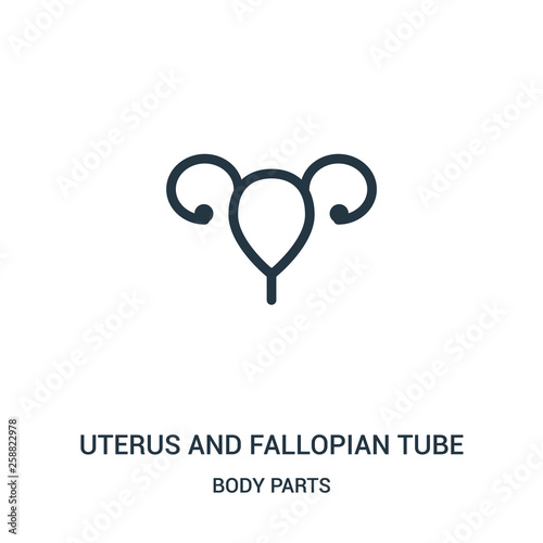 uterus and fallopian tube icon vector from body parts collection. Thin line uterus and fallopian tube outline icon vector illustration.