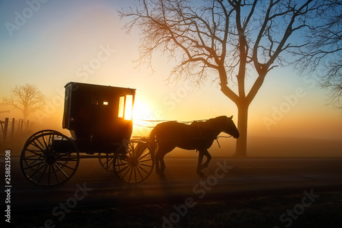 Tired Horse and Buggy at Sunrise