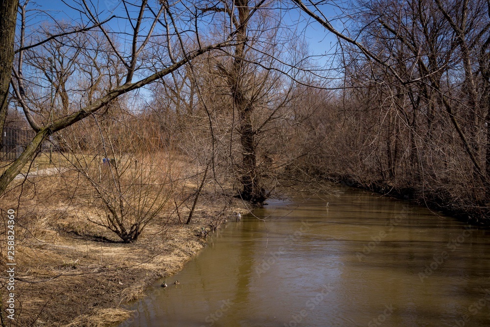 North branch of the Chicago River in early spring North branch of the Chicago River in early spring