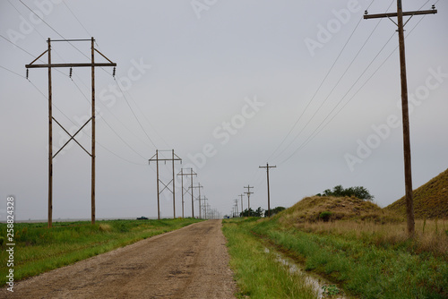 фотографія Empty road, rows of utility poles and high voltage power lines, rural Texas