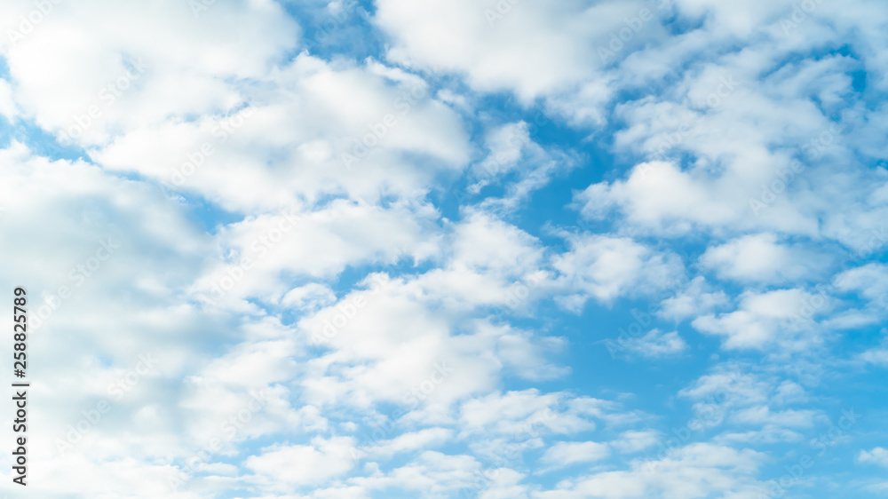 Fototapeta premium 青空・雲