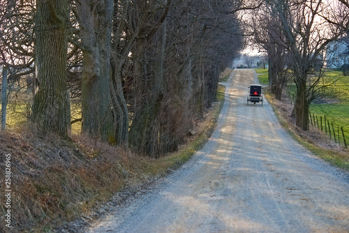 Amish Buggy on Gravel Road