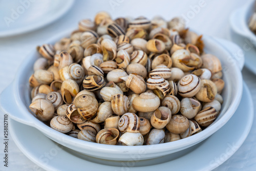 Edible Snails on Plate in Portuguese Restaurant