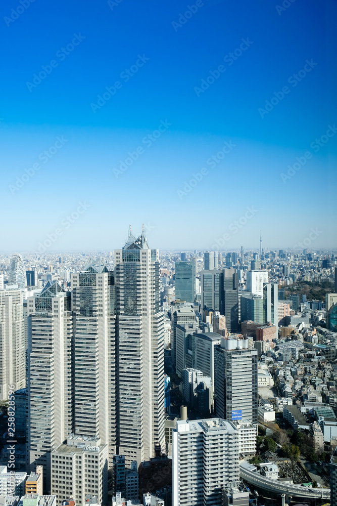 Fototapeta premium 東京 都市風景