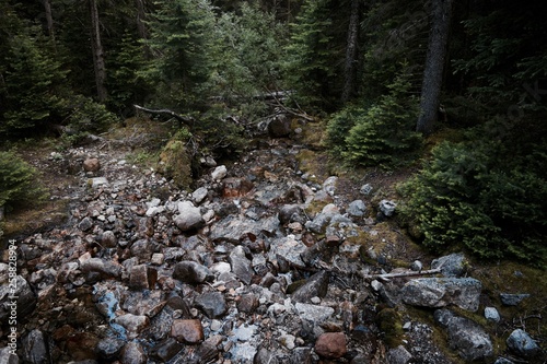 Rocks of Banff © Stephen