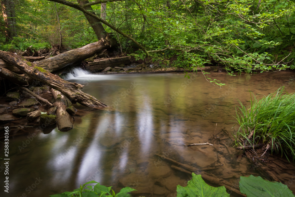 nature created a fishing hole in stream nature created a fishing hole in stream