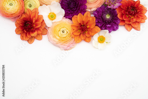 Fototapeta Naklejka Na Ścianę i Meble -  Dahlia, ranunculus and anemone flower background floral flat lay