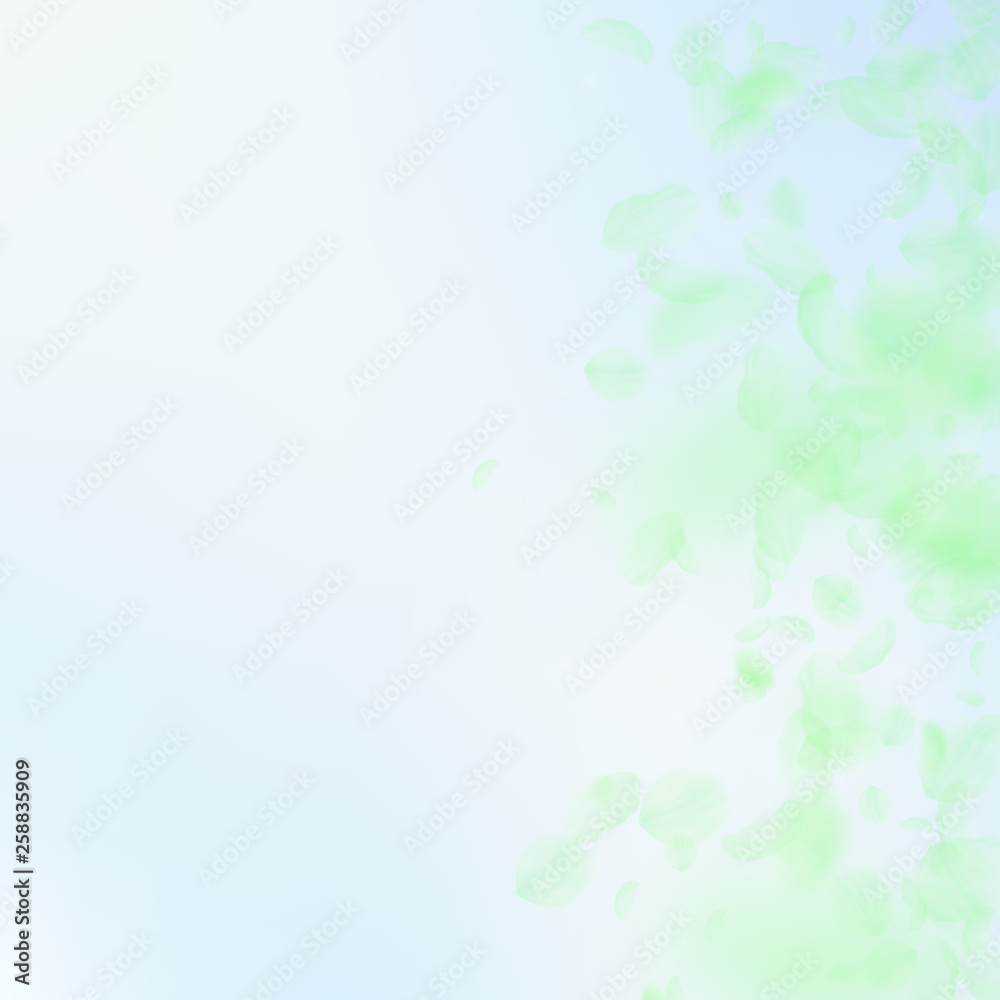 Green flower petals falling down. Exquisite romant Green flower petals falling down. Exquisite romant