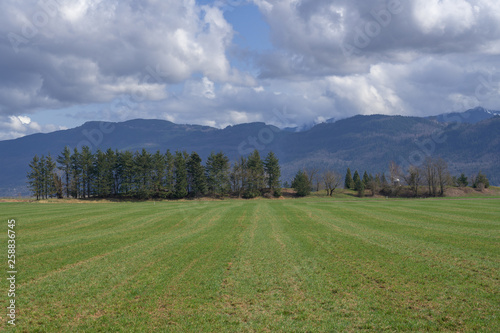 Farmland in Abbotsford, British Columbia