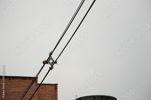 Cables de luz en cielo blanco