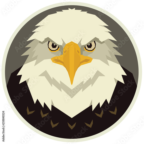 The eagle head Vector illustration of a bird in a round frame