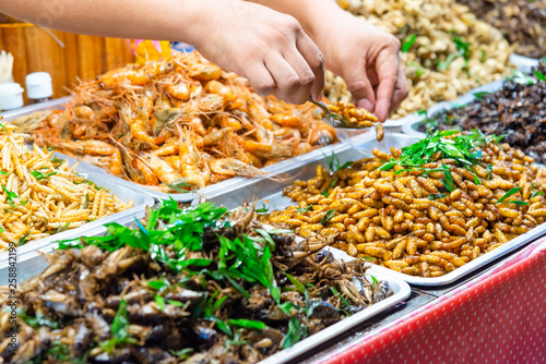 Selective focus at hand selecting fried Silk worm from various fried insect on a tray at street food market