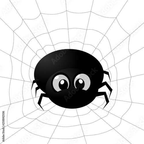 Spinne im Netz