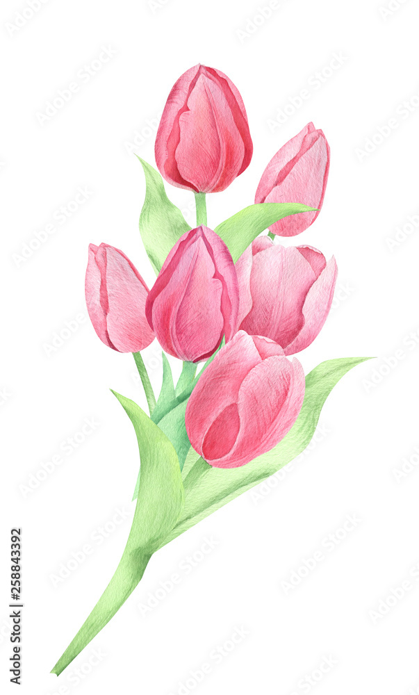 Fototapeta premium Watercolor spring flowers