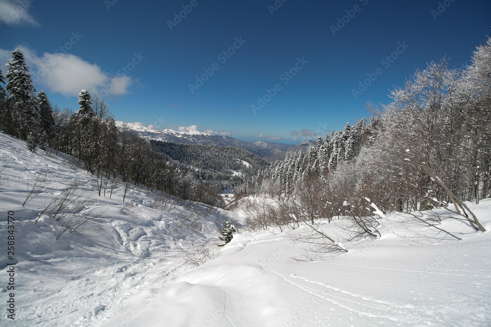 The snow-capped Caucasus mountains, Sochi, Russia. The snow-capped Caucasus mountains, Sochi, Russia.