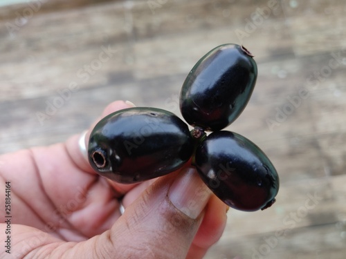 jamun fruits closeup photo