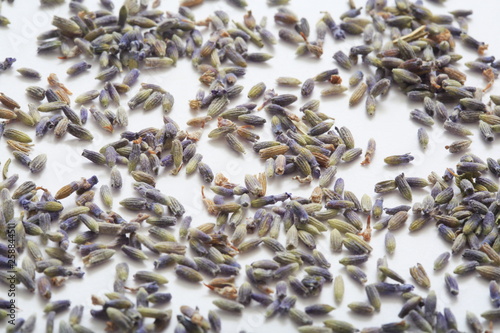 (Herb) image of lavender