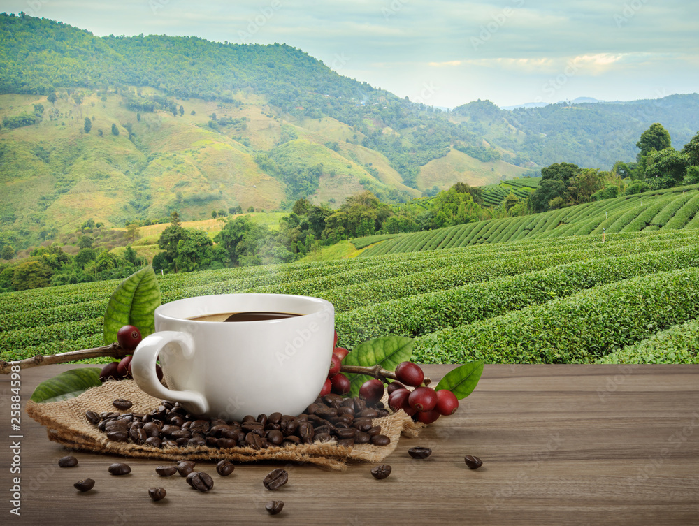 Hot coffee cup with fresh organic red coffee beans and coffee roasts on the wooden table and the black background with copyspace for your text.