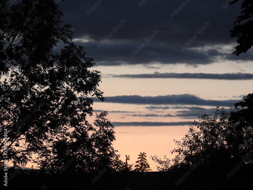 Fototapeta premium Orange Blue Sunset Near Dusk With Forest in Foreground