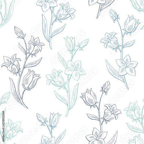 Bluebell flower graphic color seamless pattern sketch background illustration vector