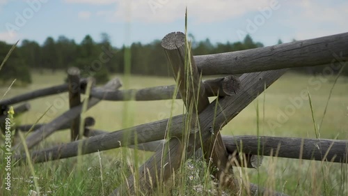 wind blowing tall grass in front of wooden mountain fence around farm photo