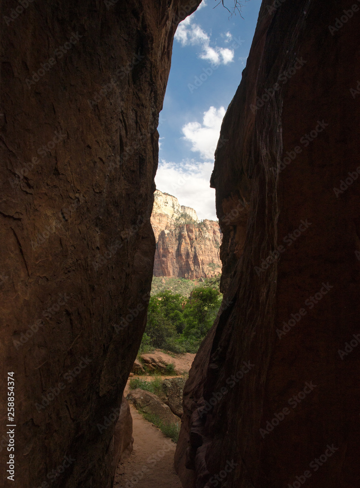 An opening in the Narrows, Zion Canyon National Park, Utah