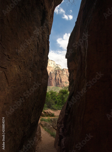 An opening in the Narrows, Zion Canyon National Park, Utah